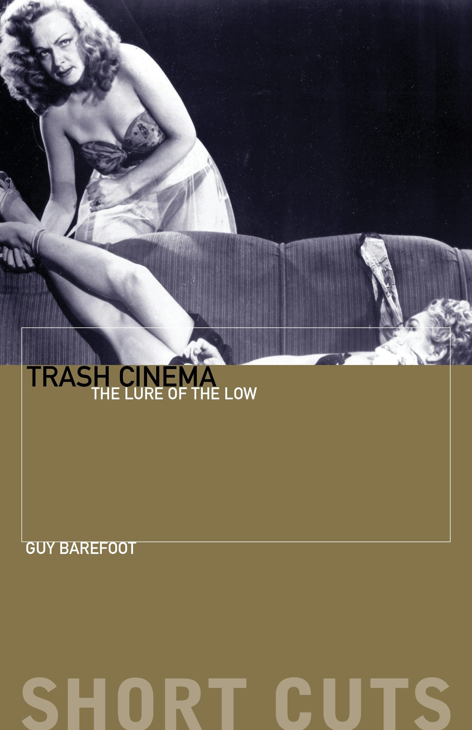 Book cover image for Trash Cinema ISBN: 9780231180375